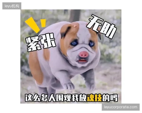 三秒内无缝植入的动态贴片挽救了下滑近四成的完播数据
